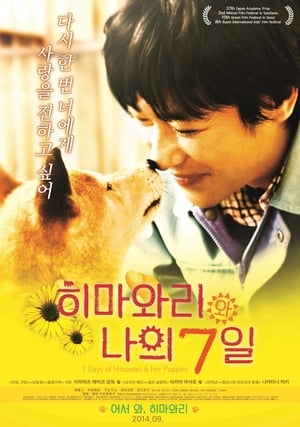 Pup (2013) Dual Audio | Dubbed Hindi Movie BluRay [800MB]