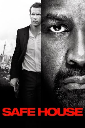Safe House (2012) Dual Audio HDRip | Dubbed Hindi Movie – 480p